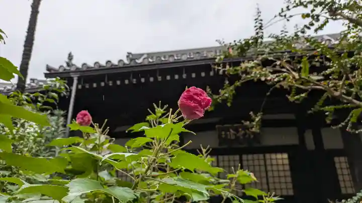 冷雲院(大阪府)