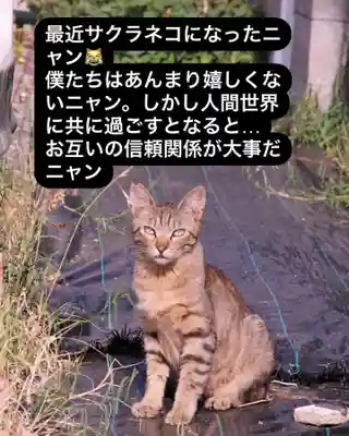 専念寺(大阪府)