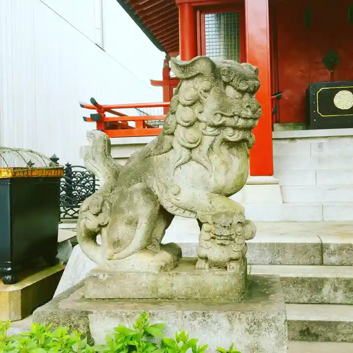 神田神社(神田明神)の狛犬