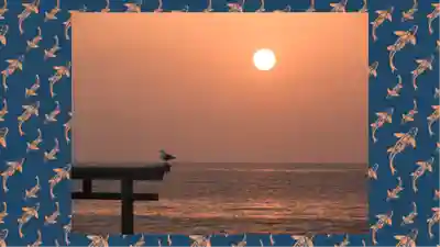 大洗磯前神社(茨城県)