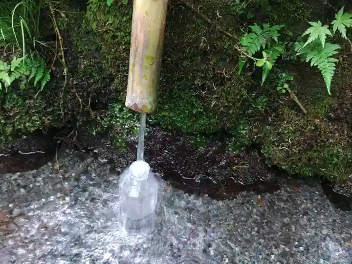 富士山本宮浅間大社(静岡県)