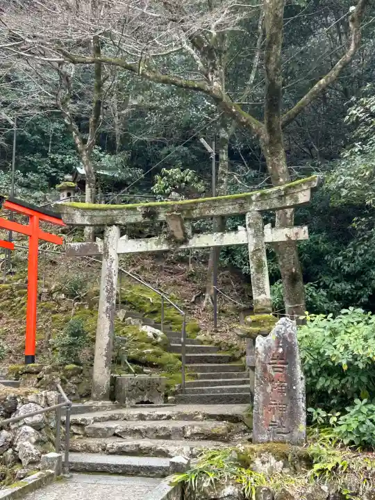 伊奈波神社の{uncategorized: "未分類", other: "その他", undefined: "問題あり", building: "その他建物", grave: "お墓", sacred_gate: "鳥居", guardian: "狛犬", statue: "像", buddha: "仏像", history: "歴史", nature: "自然", garden: "庭園", animal: "動物", pagoda: "塔", temizu: "手水舎", mountain_gate: "山門・神門", sanctuary: "本殿・本堂", subordinate: "末社・摂社", art: "芸術", scenery: "景色", jizo: "地蔵", ema: "絵馬", goshuin: "御朱印", omikuji: "おみくじ", items: "授与品その他", amulet: "お守り", goshuincho: "御朱印帳", eats: "食事", festival: "お祭り", votive_dance: "神楽", shichigosan: "七五三参", wedding: "結婚式", experience: "体験その他", initially: "初詣", around: "周辺", anti_infection: "感染症対策"}