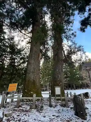 岩手山神社(岩手県)