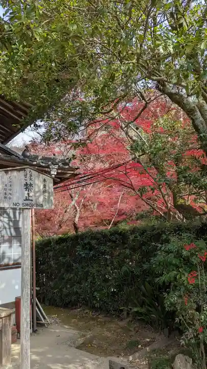 乗願寺(京都府)