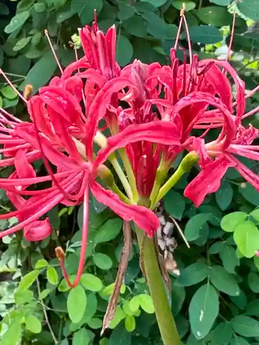 勝念寺（かましきさん）(京都府)