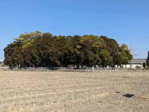 弥富神社の{uncategorized: "未分類", other: "その他", undefined: "問題あり", building: "その他建物", grave: "お墓", sacred_gate: "鳥居", guardian: "狛犬", statue: "像", buddha: "仏像", history: "歴史", nature: "自然", garden: "庭園", animal: "動物", pagoda: "塔", temizu: "手水舎", mountain_gate: "山門・神門", sanctuary: "本殿・本堂", subordinate: "末社・摂社", art: "芸術", scenery: "景色", jizo: "地蔵", ema: "絵馬", goshuin: "御朱印", omikuji: "おみくじ", items: "授与品その他", amulet: "お守り", goshuincho: "御朱印帳", eats: "食事", festival: "お祭り", votive_dance: "神楽", shichigosan: "七五三参", wedding: "結婚式", experience: "体験その他", initially: "初詣", around: "周辺", anti_infection: "感染症対策"}