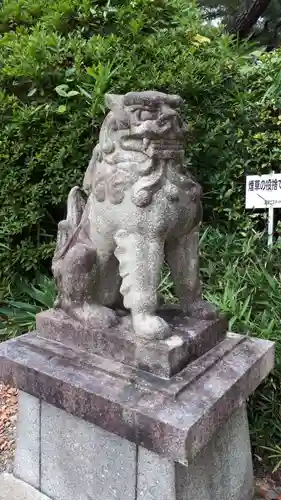 金岡八幡宮の狛犬