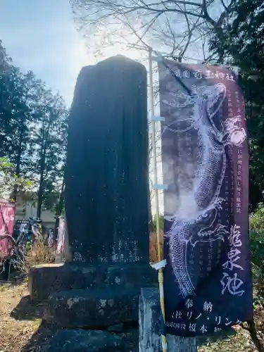 前玉神社(埼玉県)