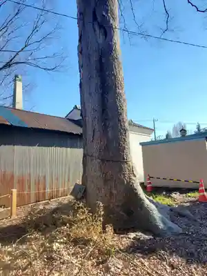 篠生神社(栃木県)