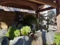 馬橋稲荷神社(東京都)