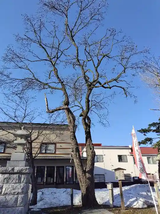空知神社の自然