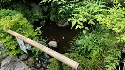 霊源院(京都府)