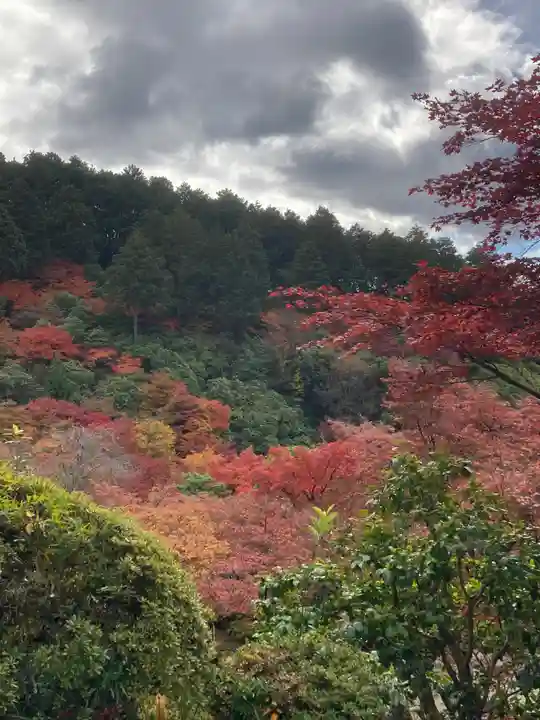 三室戸寺(京都府)
