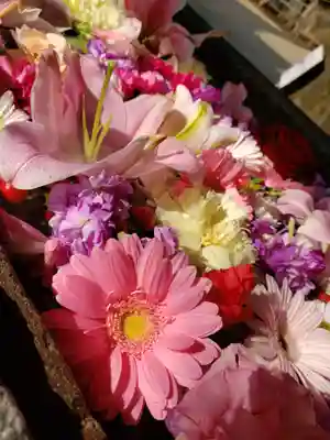 鳩森八幡神社の手水舎