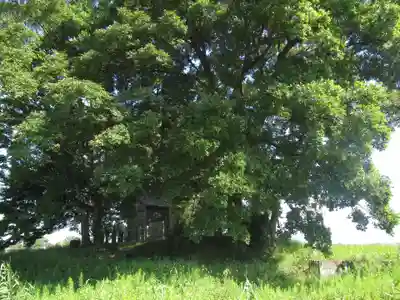 神明神社(千葉県)