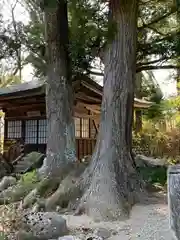 妙雲寺の自然