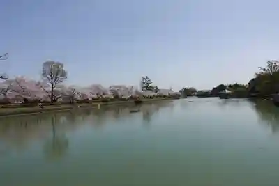 長岡天満宮の周辺