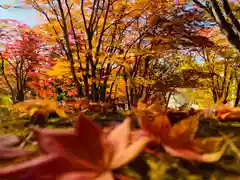 土津神社｜こどもと出世の神さまの自然