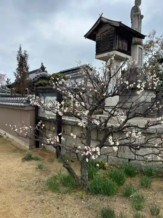 長尾寺(香川県)