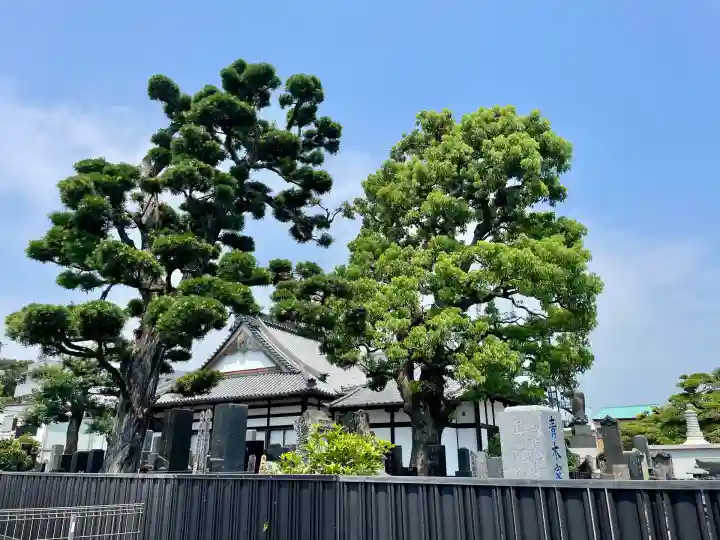 長円寺(静岡県)