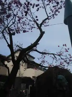 妙隆寺(神奈川県)