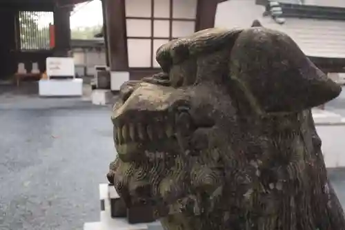 阿蘇神社の狛犬