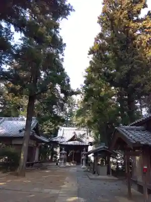 大蔵神社(埼玉県)