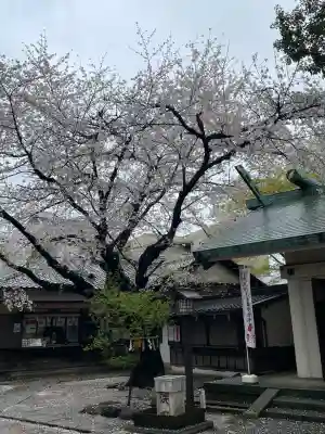 駒込天祖神社(東京都)
