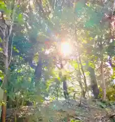 猿田神社の自然