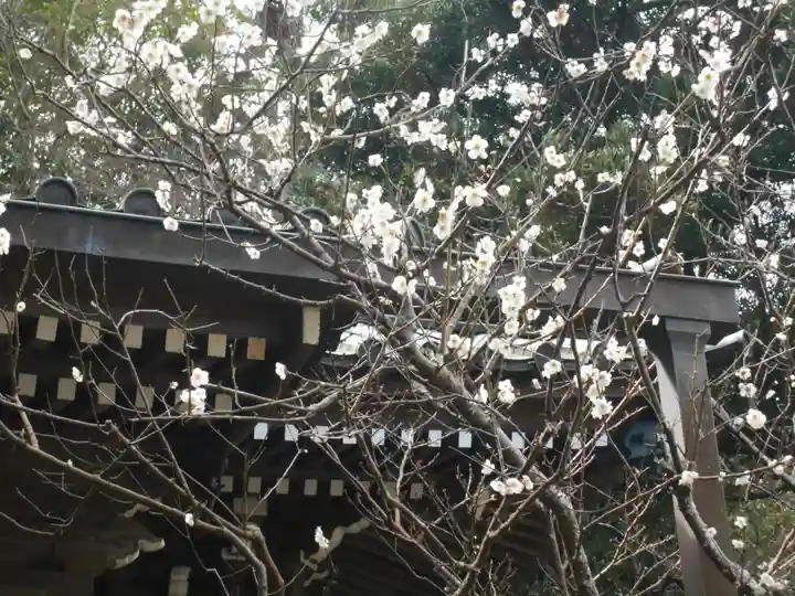 安國論寺(安国論寺)の自然