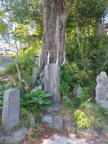 鹿島神社(福島県)