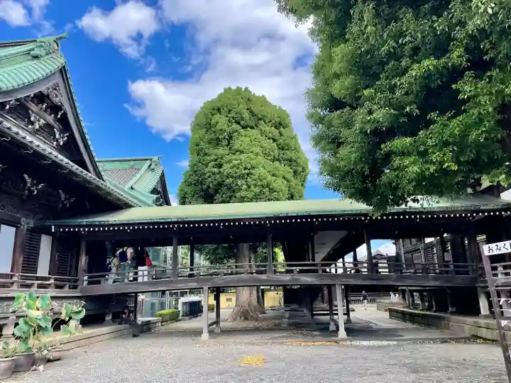 題経寺(柴又帝釈天)(東京都)