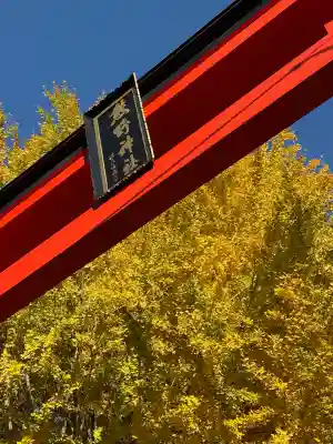 川越熊野神社(埼玉県)