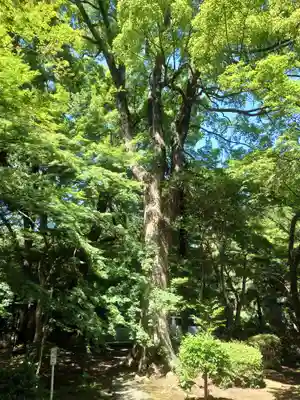 無量光寺(神奈川県)
