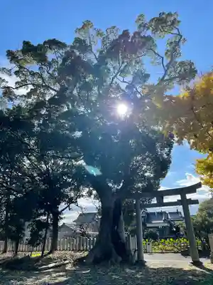 春日神社(福岡県)