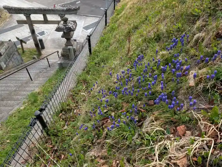王子神社の{uncategorized: "未分類", other: "その他", undefined: "問題あり", building: "その他建物", grave: "お墓", sacred_gate: "鳥居", guardian: "狛犬", statue: "像", buddha: "仏像", history: "歴史", nature: "自然", garden: "庭園", animal: "動物", pagoda: "塔", temizu: "手水舎", mountain_gate: "山門・神門", sanctuary: "本殿・本堂", subordinate: "末社・摂社", art: "芸術", scenery: "景色", jizo: "地蔵", ema: "絵馬", goshuin: "御朱印", omikuji: "おみくじ", items: "授与品その他", amulet: "お守り", goshuincho: "御朱印帳", eats: "食事", festival: "お祭り", votive_dance: "神楽", shichigosan: "七五三参", wedding: "結婚式", experience: "体験その他", initially: "初詣", around: "周辺", anti_infection: "感染症対策"}