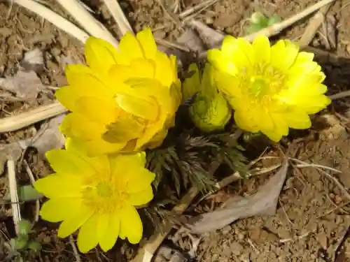 阿邪訶根神社(福島県)
