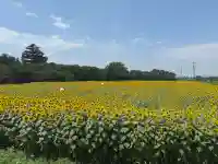 幸宮神社(埼玉県)