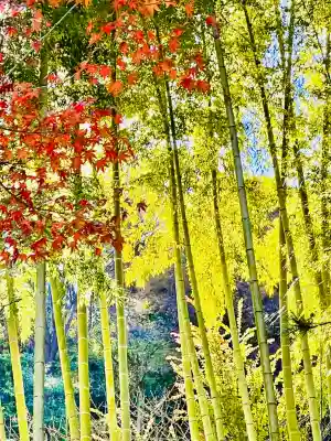 円覚寺(神奈川県)