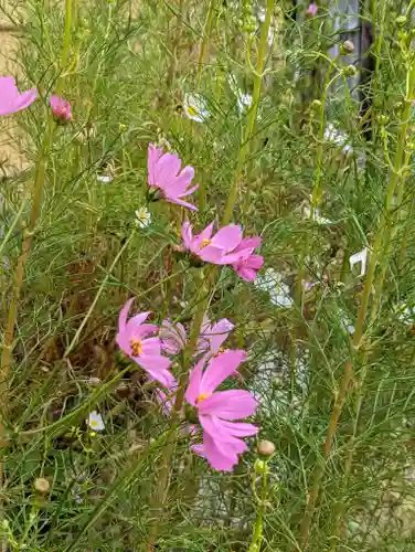 大松禅寺の自然