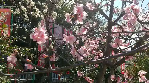 満福寺（三好稲荷閣）の自然