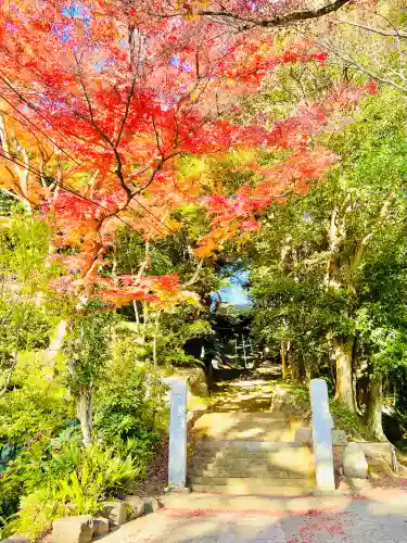 西明寺の{uncategorized: "未分類", other: "その他", undefined: "問題あり", building: "その他建物", grave: "お墓", sacred_gate: "鳥居", guardian: "狛犬", statue: "像", buddha: "仏像", history: "歴史", nature: "自然", garden: "庭園", animal: "動物", pagoda: "塔", temizu: "手水舎", mountain_gate: "山門・神門", sanctuary: "本殿・本堂", subordinate: "末社・摂社", art: "芸術", scenery: "景色", jizo: "地蔵", ema: "絵馬", goshuin: "御朱印", omikuji: "おみくじ", items: "授与品その他", amulet: "お守り", goshuincho: "御朱印帳", eats: "食事", festival: "お祭り", votive_dance: "神楽", shichigosan: "七五三参", wedding: "結婚式", experience: "体験その他", initially: "初詣", around: "周辺", anti_infection: "感染症対策"}