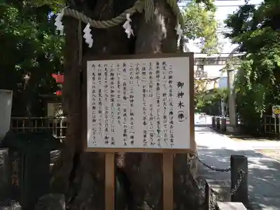 新田神社(東京都)