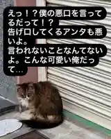 専念寺(大阪府)