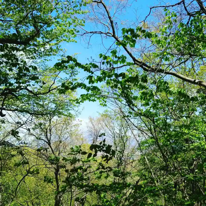 壽徳寺 じゅとくじの自然