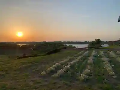 津島本宮社(宮城県)