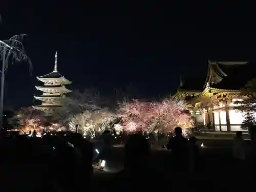 東寺（教王護国寺）(京都府)
