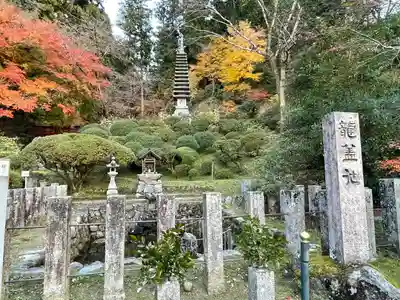 岡寺(龍蓋寺)(奈良県)