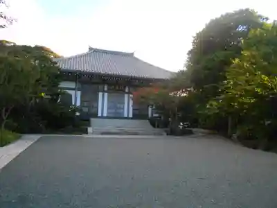 長谷寺の本殿・本堂