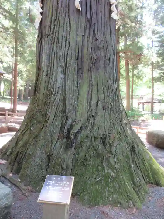 河口浅間神社のその他建物